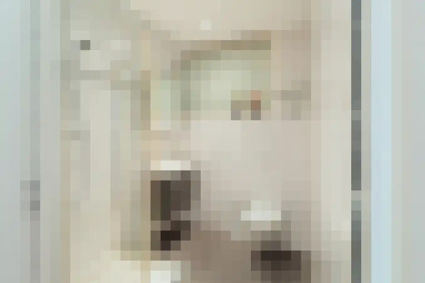 Anemoon 5 Naaldwijk thumbnail 32