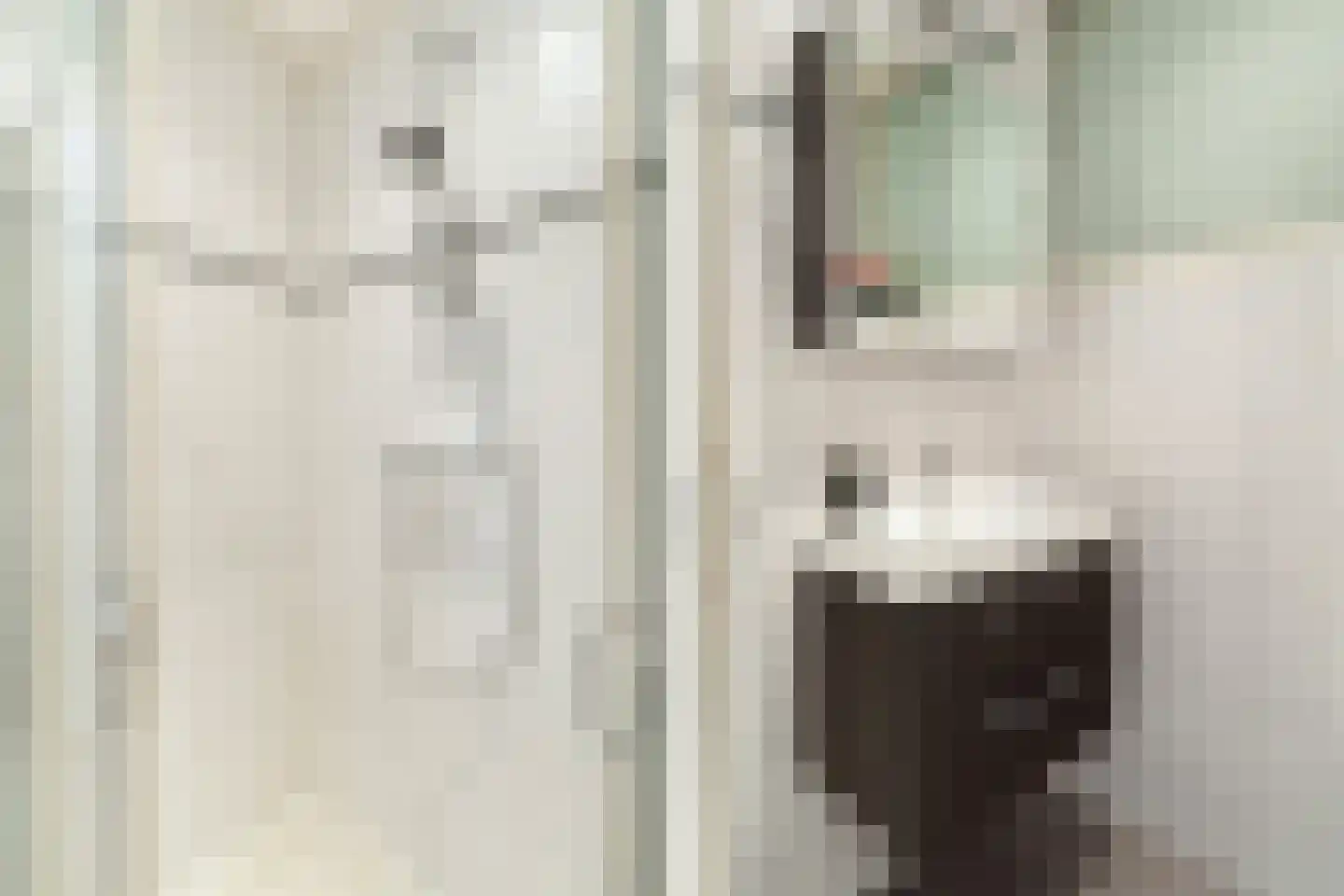 Anemoon 5 Naaldwijk thumbnail 33