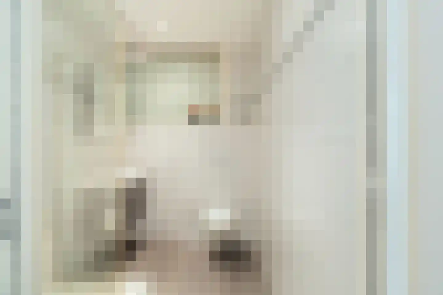 Anemoon 5 Naaldwijk thumbnail 34