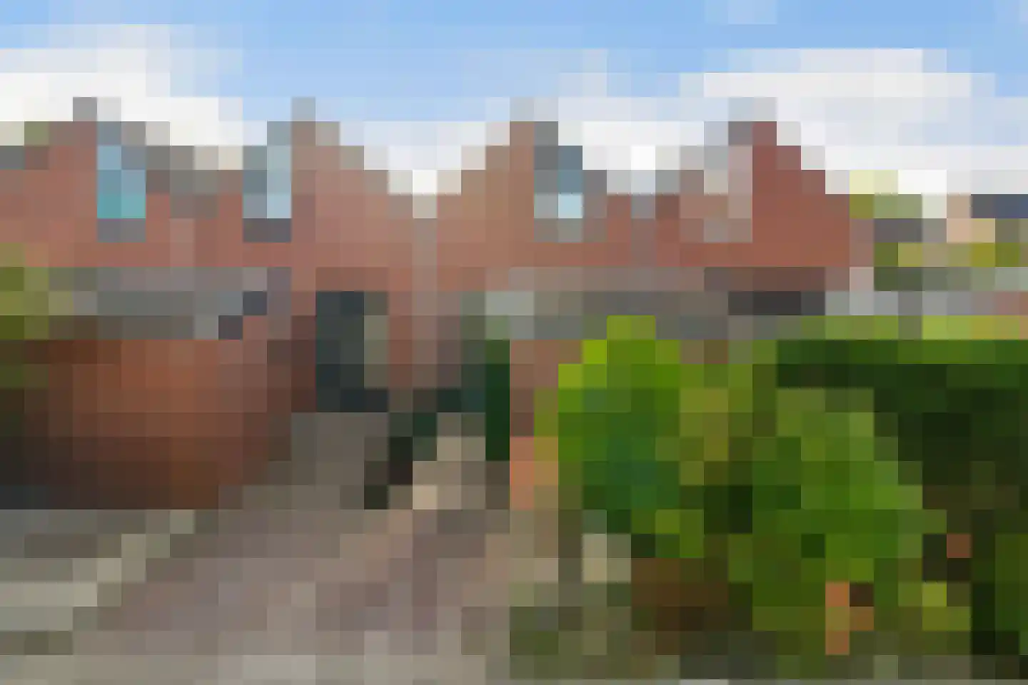 Anemoon 5 Naaldwijk thumbnail 4