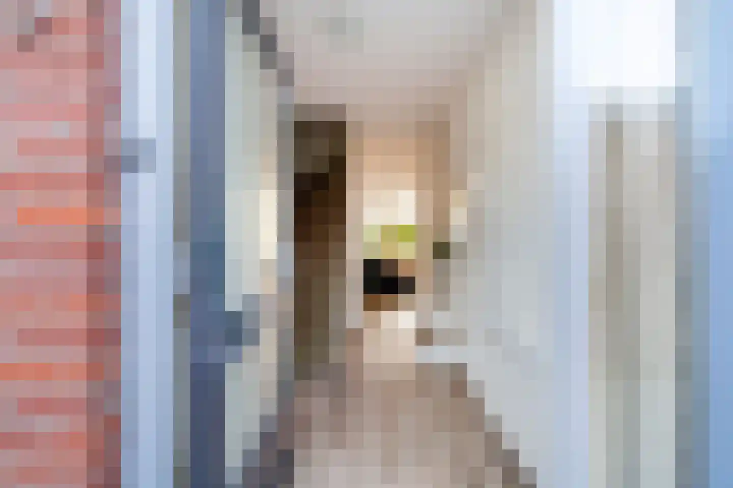 Anemoon 5 Naaldwijk thumbnail 40