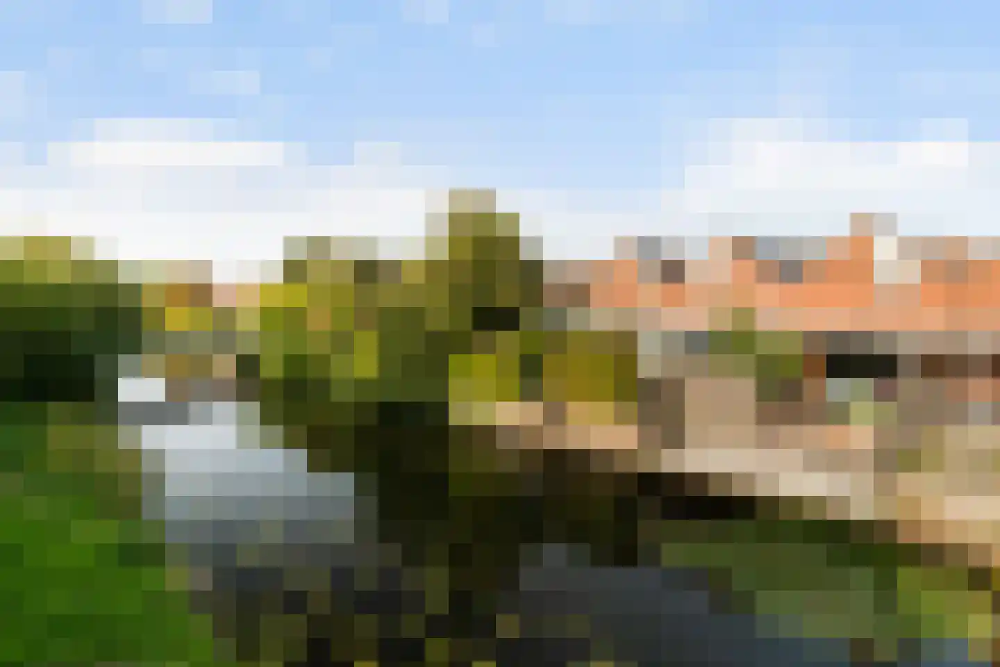 Anemoon 5 Naaldwijk thumbnail 44