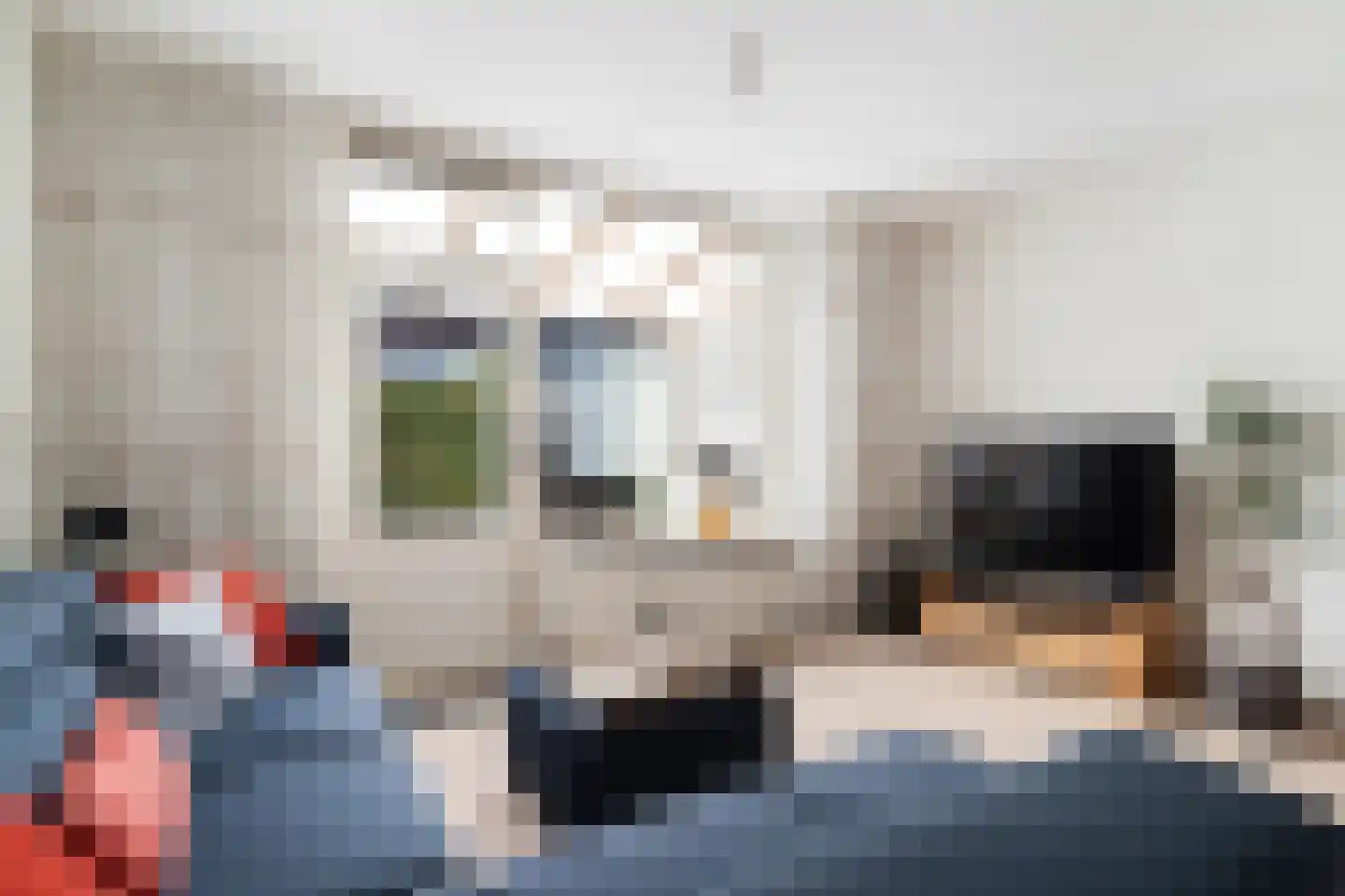 Anemoon 5 Naaldwijk thumbnail 9