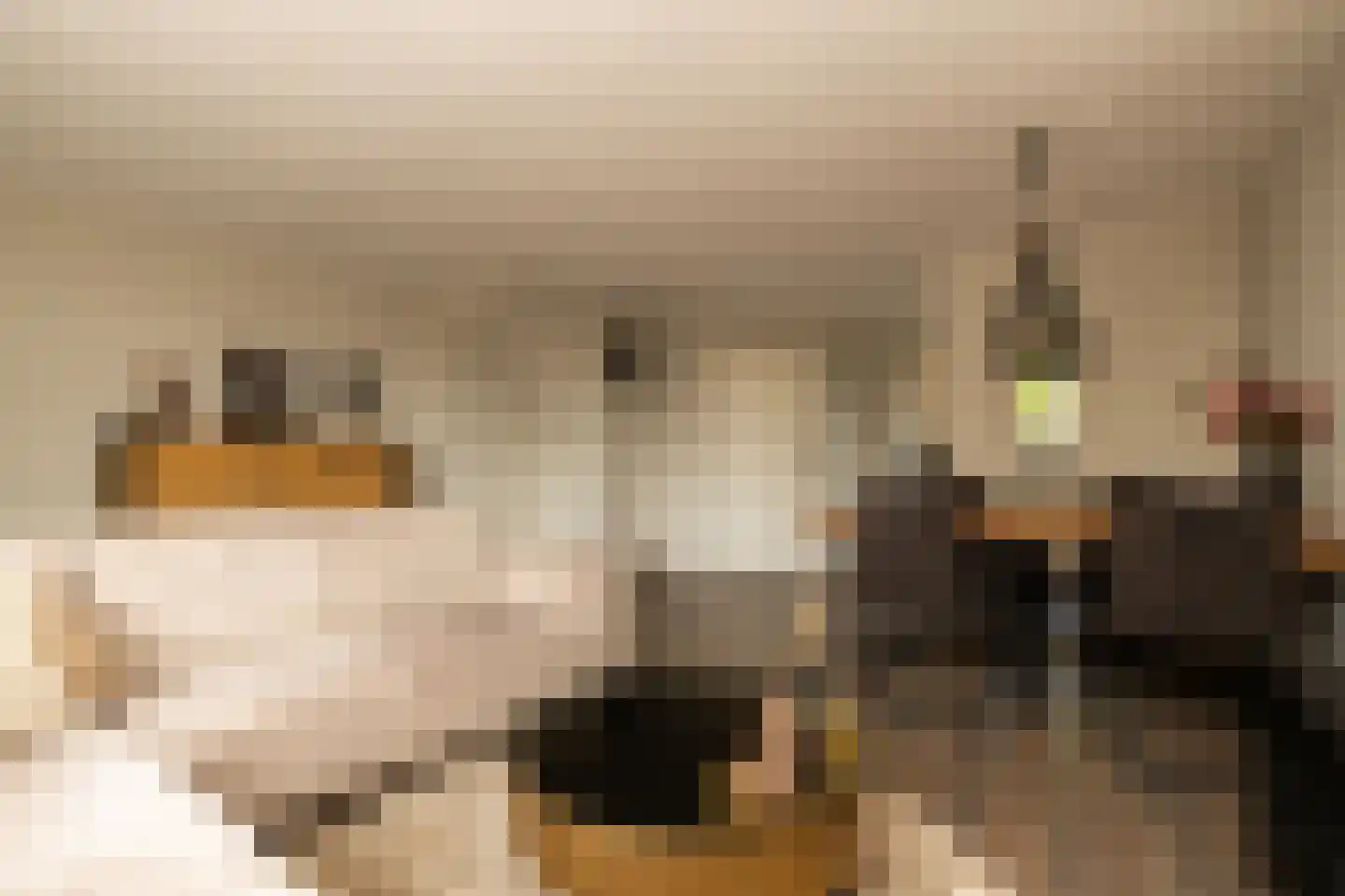 Anemoon 7 Brandwijk thumbnail 20