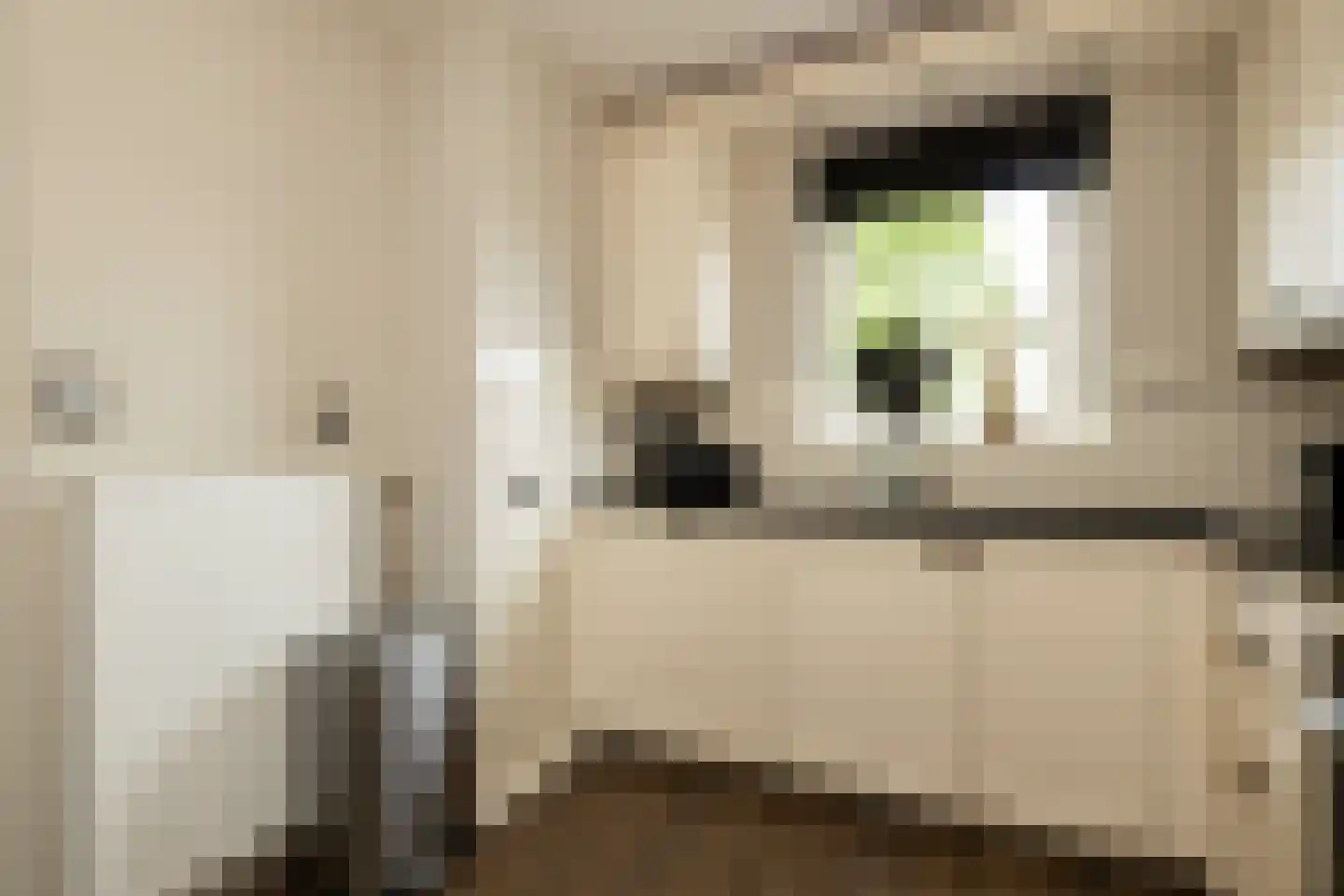 Anemoon 7 Brandwijk thumbnail 25