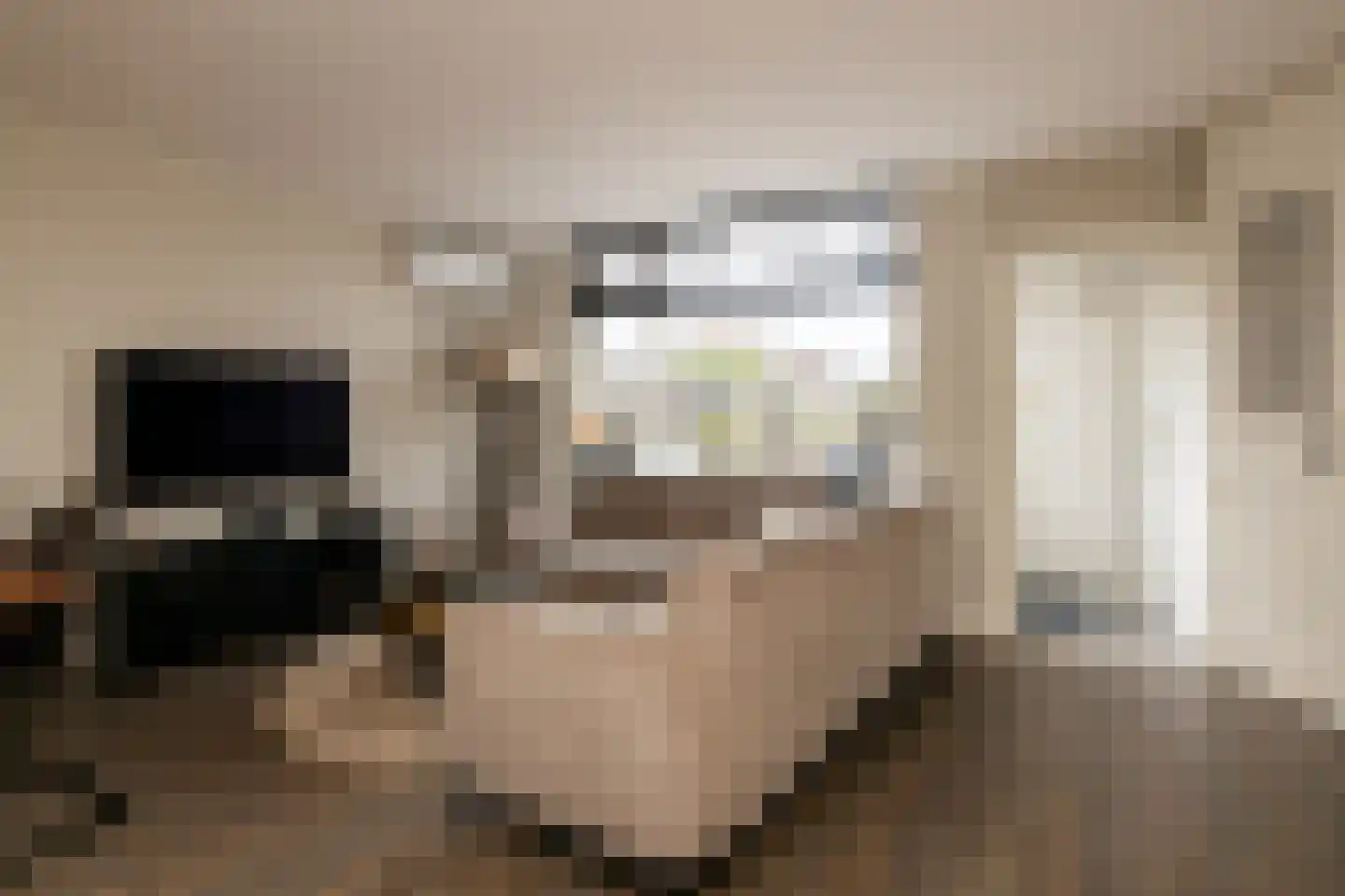 Anemoon 7 Brandwijk thumbnail 29
