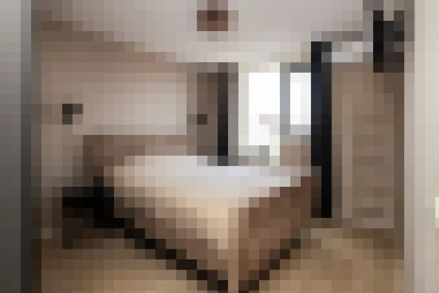 Anemoon 7 Brandwijk thumbnail 32