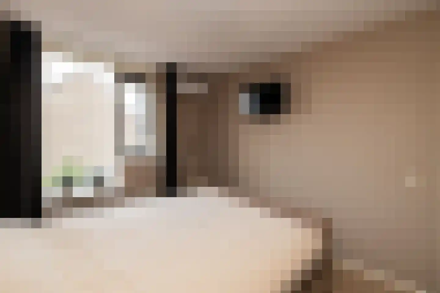 Anemoon 7 Brandwijk thumbnail 33