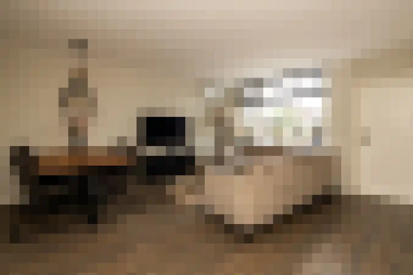 Anemoon 7 Brandwijk thumbnail 4