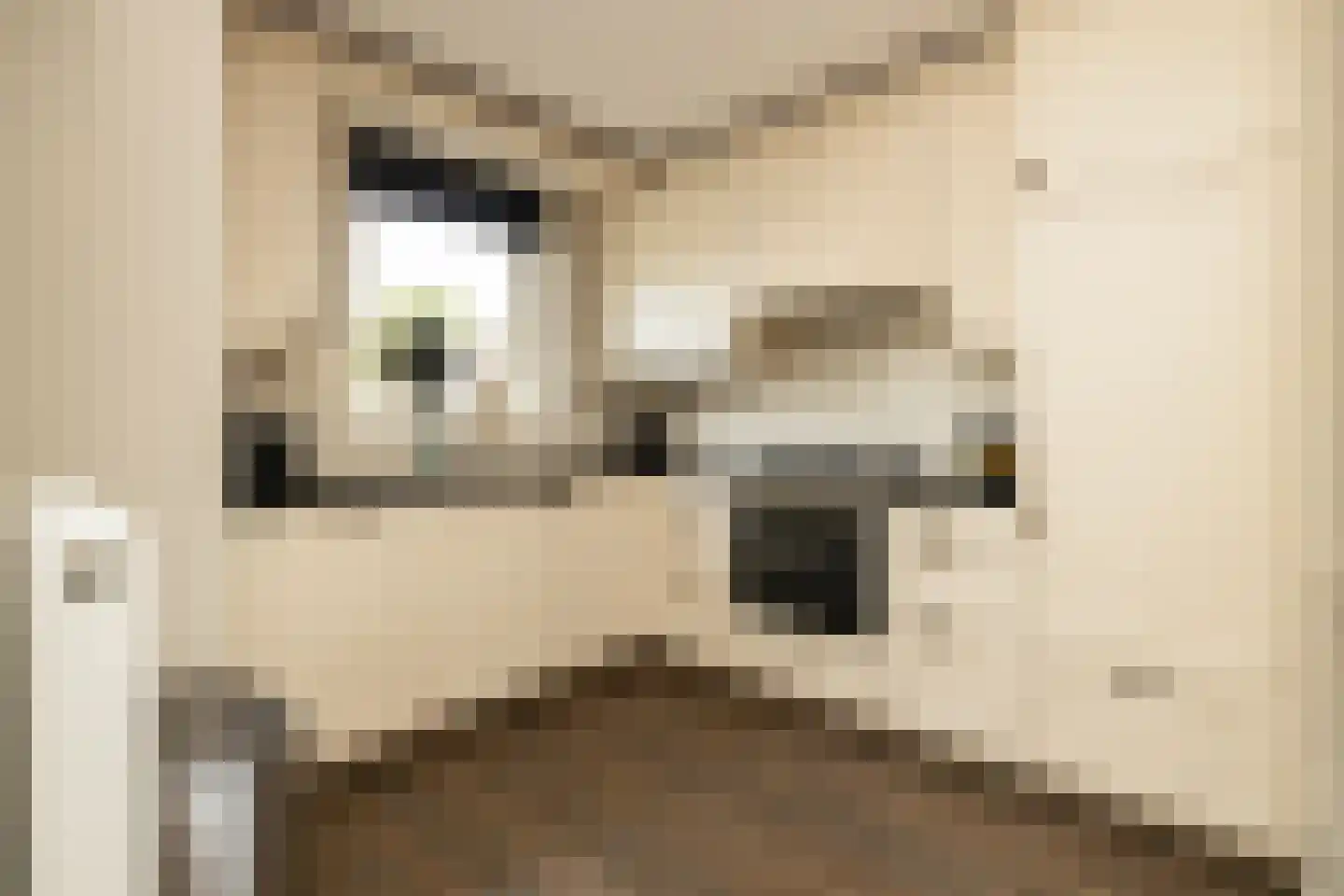 Anemoon 7 Brandwijk thumbnail 5