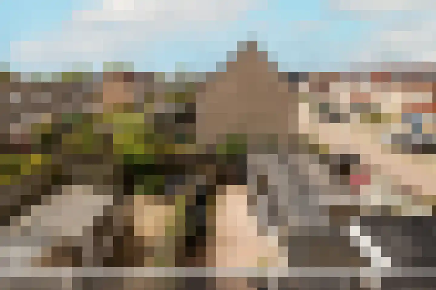 Anemoon 7 Brandwijk thumbnail 53