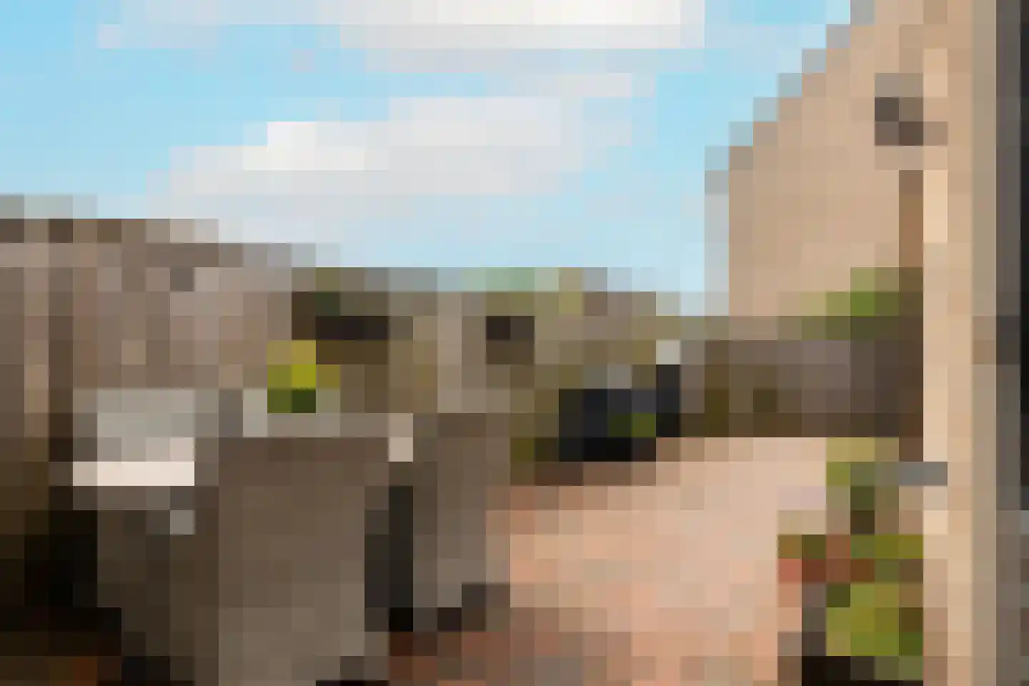 Anemoon 7 Brandwijk thumbnail 54