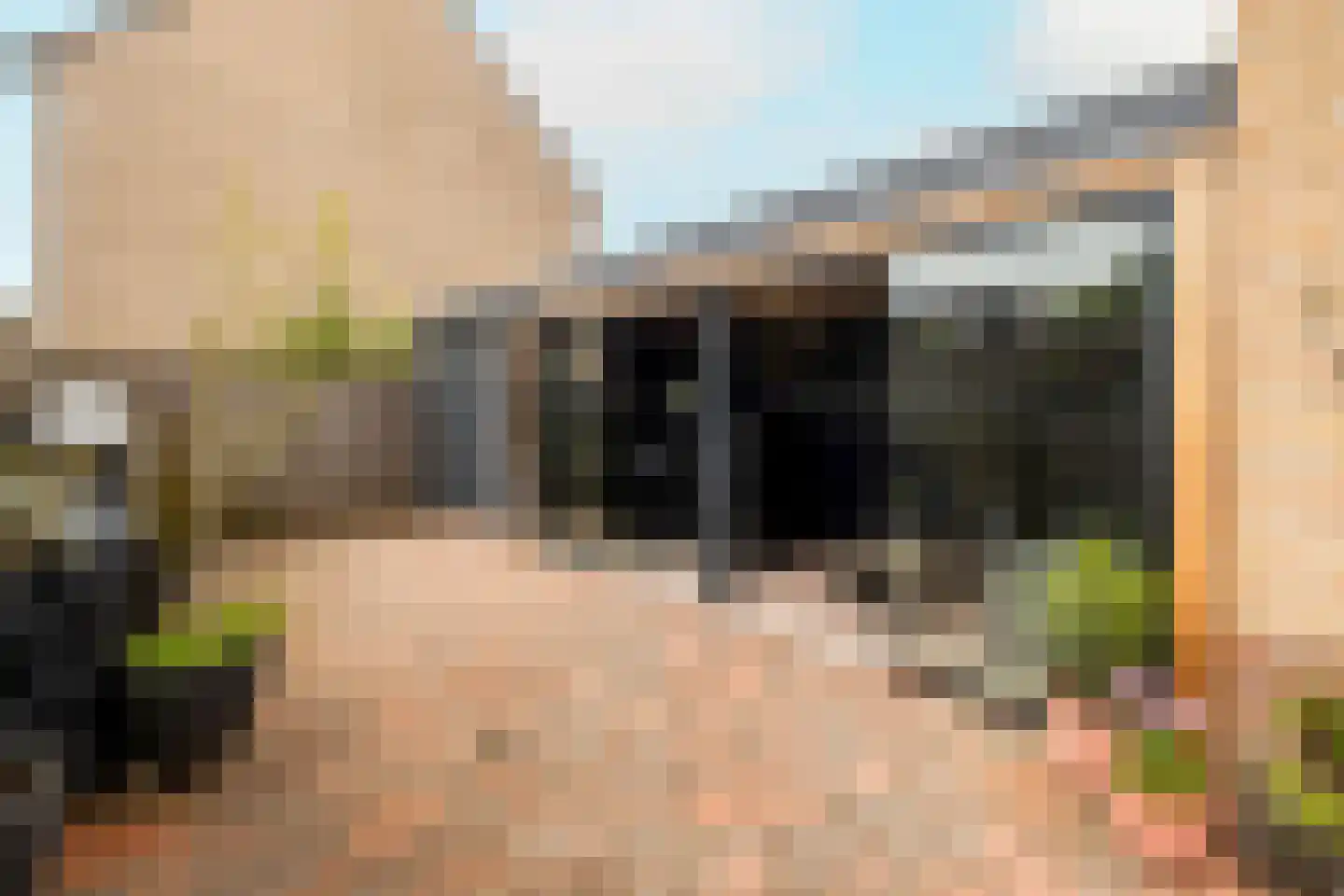 Anemoon 7 Brandwijk thumbnail 56