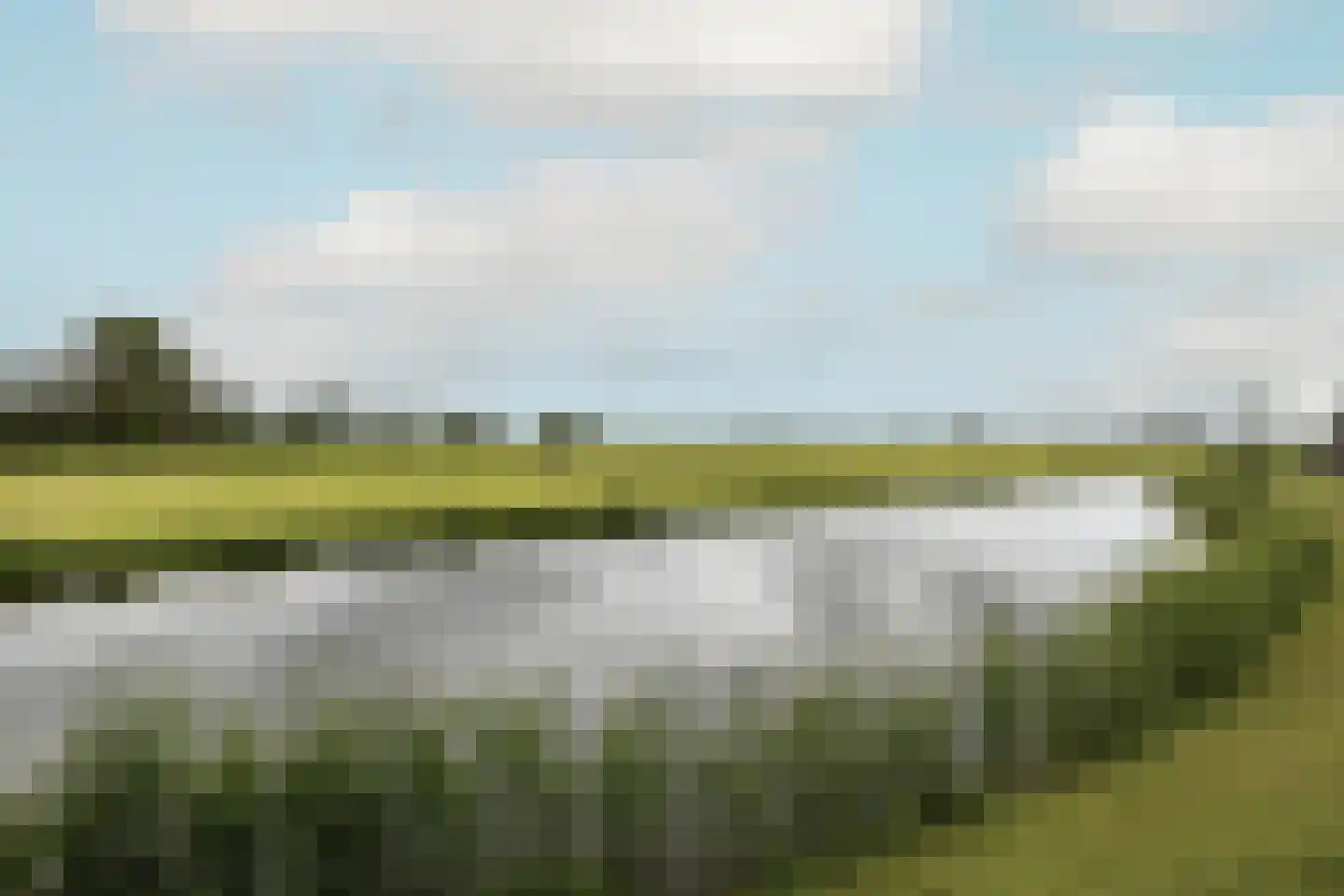 Anemoon 7 Brandwijk thumbnail 6