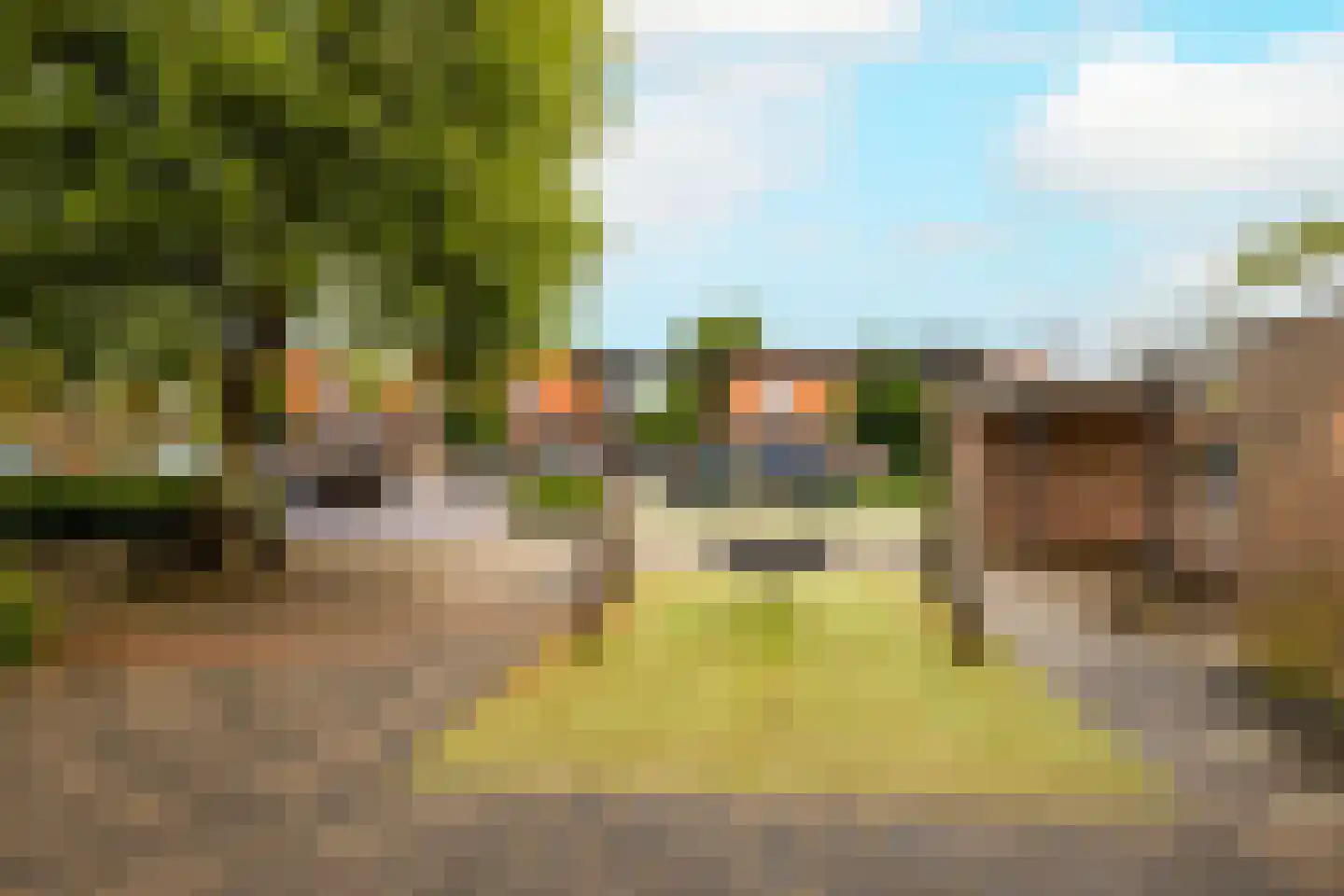 Anemoon 7 Brandwijk thumbnail 60