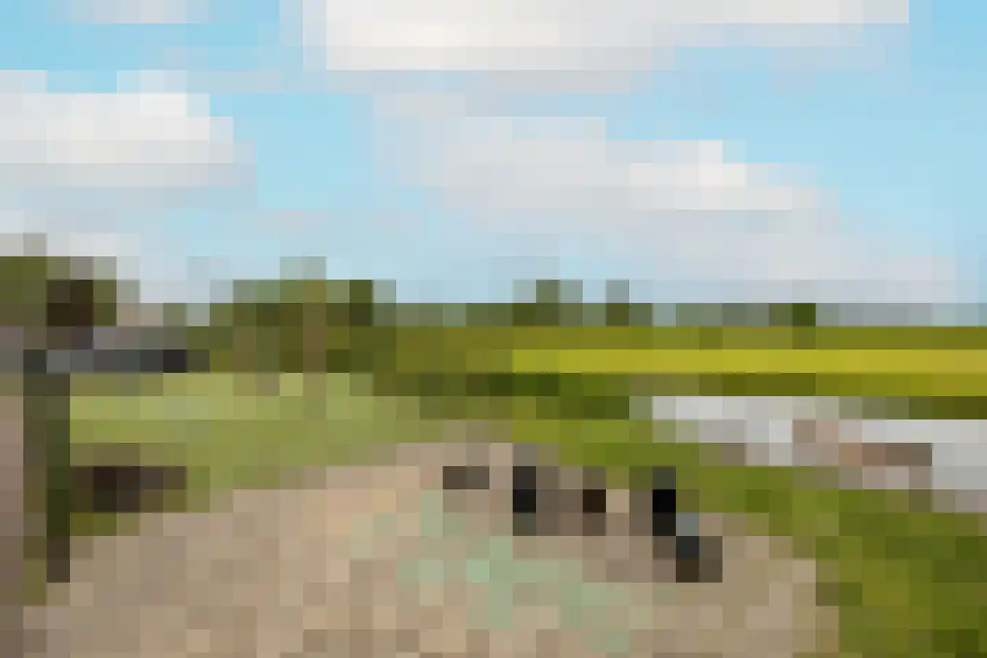 Anemoon 7 Brandwijk thumbnail 61