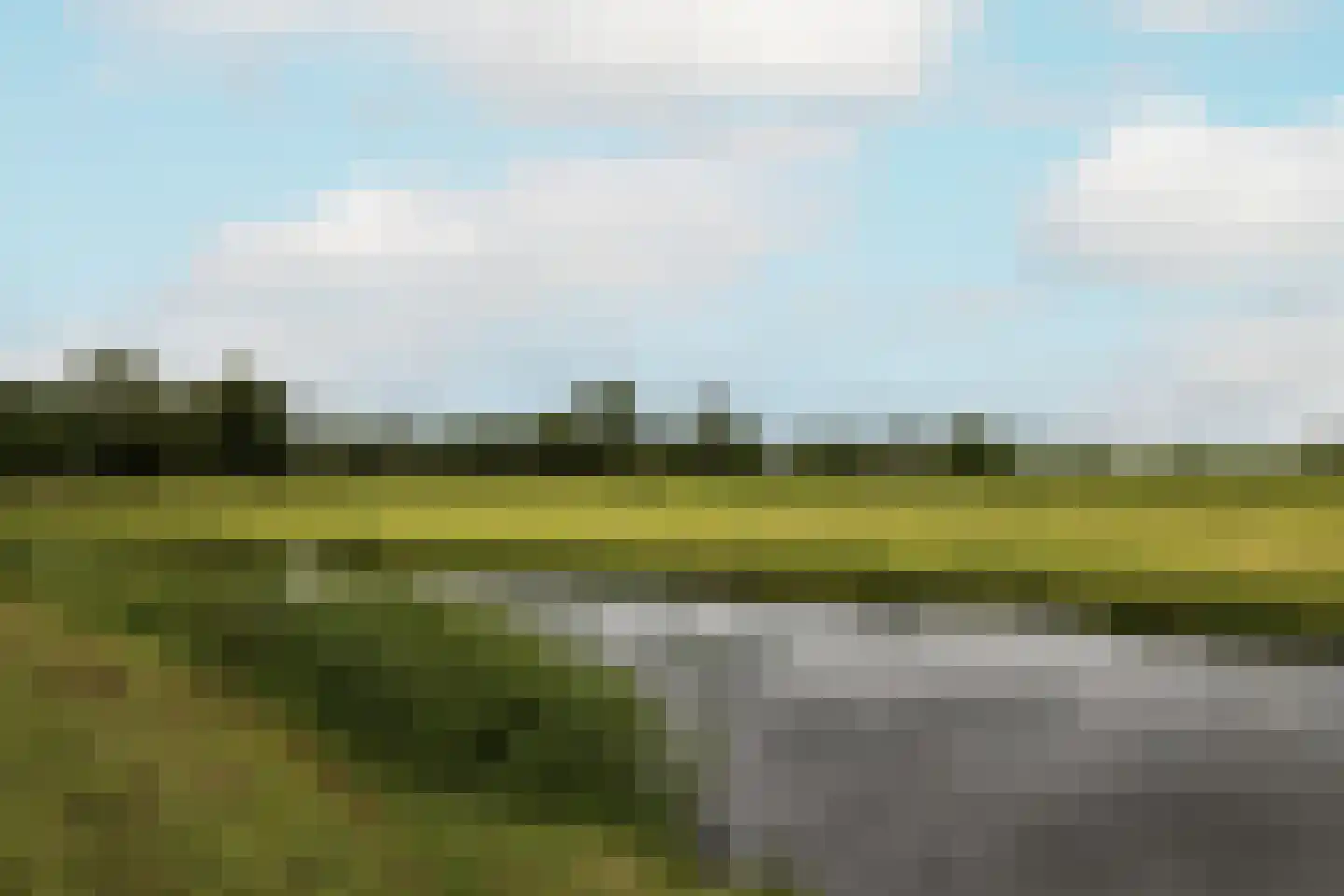 Anemoon 7 Brandwijk thumbnail 62