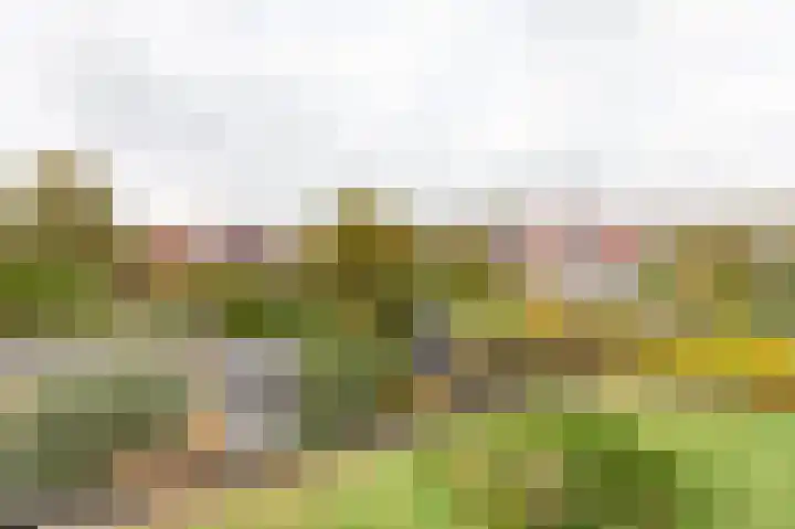 Anemoonhof 14 Papendrecht thumbnail 19