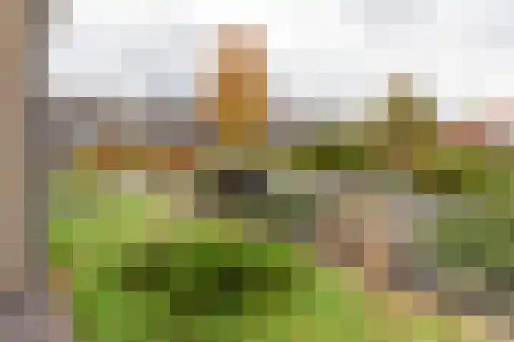 Anemoonhof 14 Papendrecht thumbnail 25