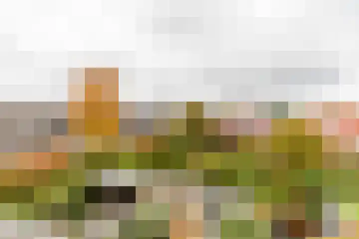 Anemoonhof 14 Papendrecht thumbnail 39