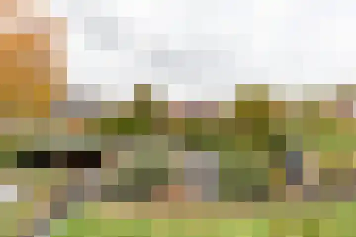 Anemoonhof 14 Papendrecht thumbnail 4
