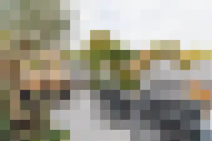Anemoonhof 14 Papendrecht thumbnail 40
