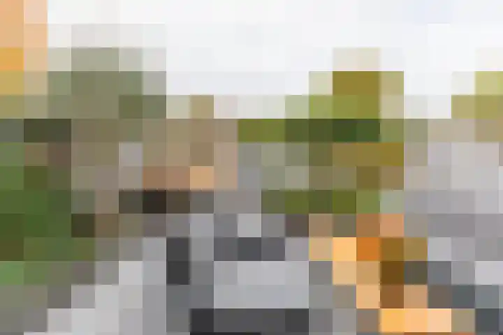 Anemoonhof 14 Papendrecht thumbnail 41