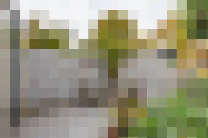 Anemoonhof 14 Papendrecht thumbnail 42