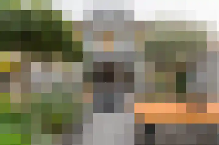 Anemoonhof 14 Papendrecht thumbnail 43