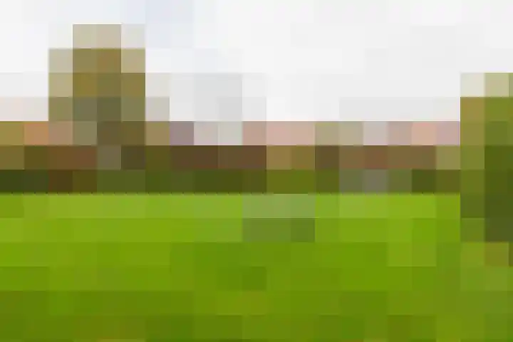 Anemoonhof 14 Papendrecht thumbnail 46