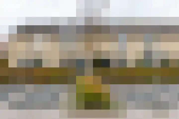 Anemoonhof 14 Papendrecht thumbnail 48