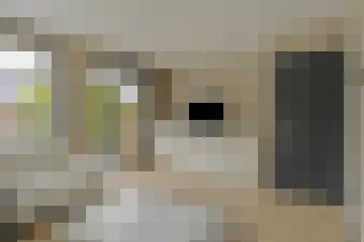 Anemoonhof 18 Weert thumbnail 10
