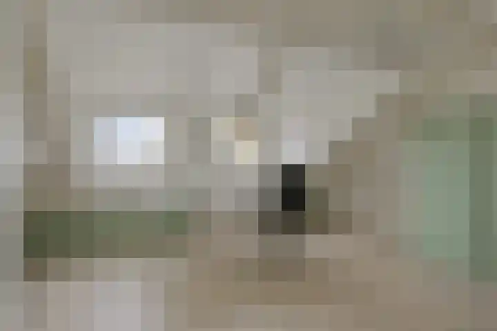 Anemoonhof 18 Weert thumbnail 21