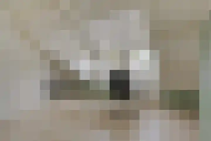 Anemoonhof 18 Weert thumbnail 22