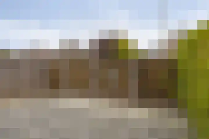 Anemoonhof 18 Weert thumbnail 23