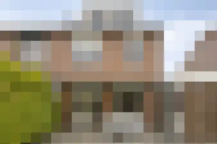 Anemoonhof 18 Weert thumbnail 5