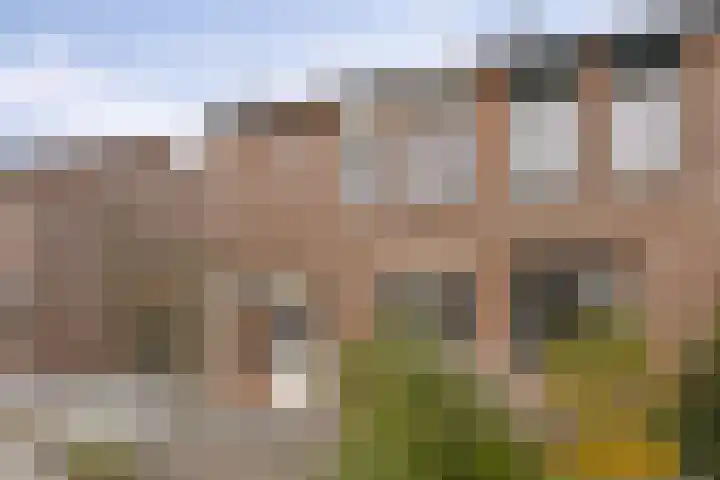 Anemoonhof 18 Weert thumbnail 7