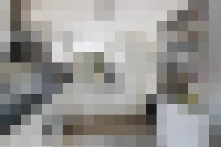 Anemoonhof 2 Papendrecht thumbnail 13