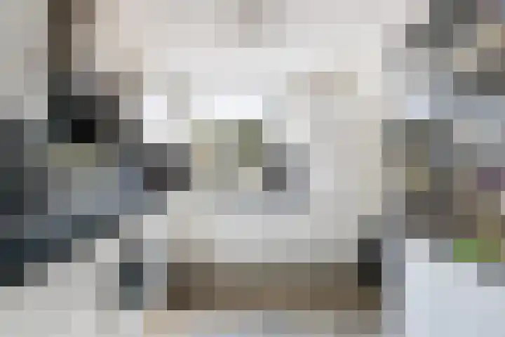 Anemoonhof 2 Papendrecht thumbnail 14