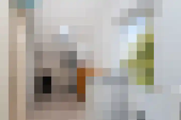 Anemoonhof 2 Papendrecht thumbnail 21