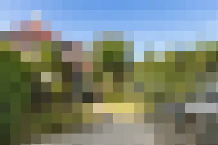 Anemoonhof 2 Papendrecht thumbnail 24