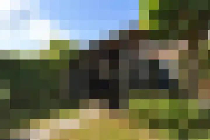 Anemoonhof 2 Papendrecht thumbnail 26