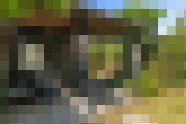 Anemoonhof 2 Papendrecht thumbnail 27