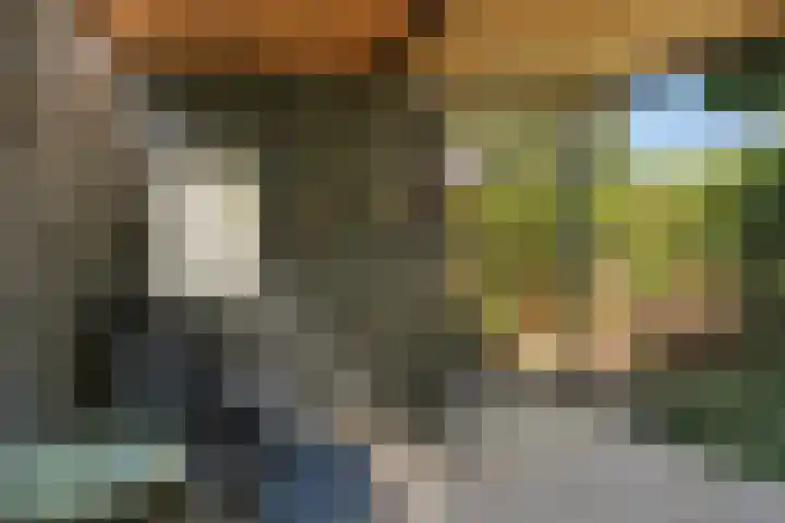 Anemoonhof 2 Papendrecht thumbnail 28