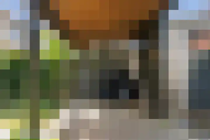 Anemoonhof 2 Papendrecht thumbnail 29