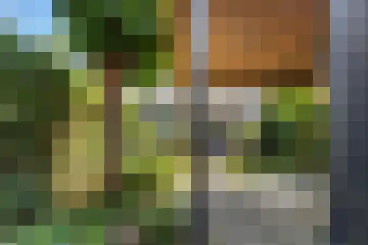 Anemoonhof 2 Papendrecht thumbnail 30