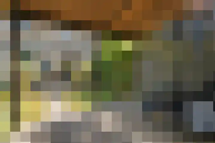 Anemoonhof 2 Papendrecht thumbnail 31