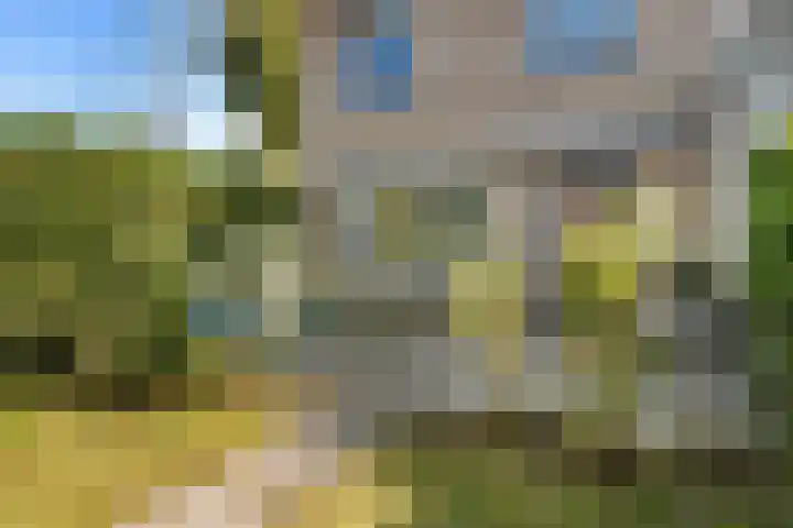 Anemoonhof 2 Papendrecht thumbnail 33