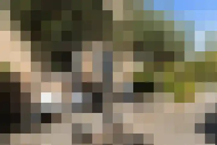Anemoonhof 2 Papendrecht thumbnail 34