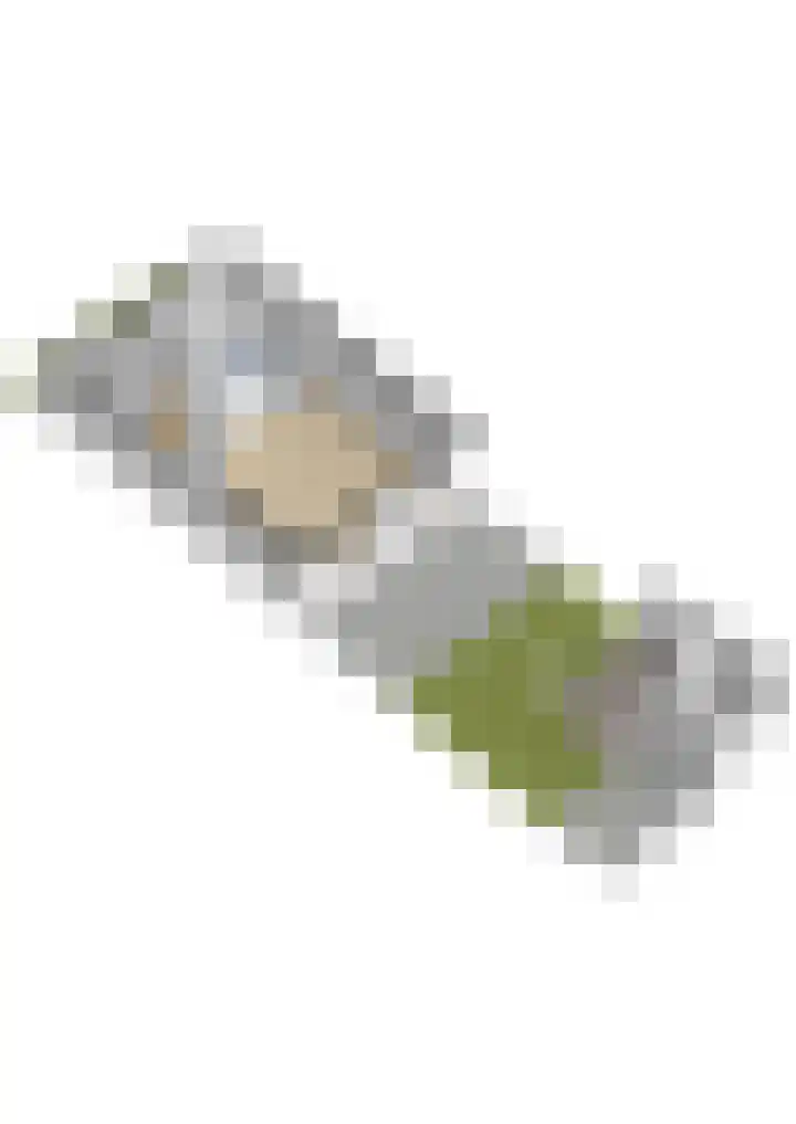 Anemoonhof 2 Papendrecht thumbnail 38